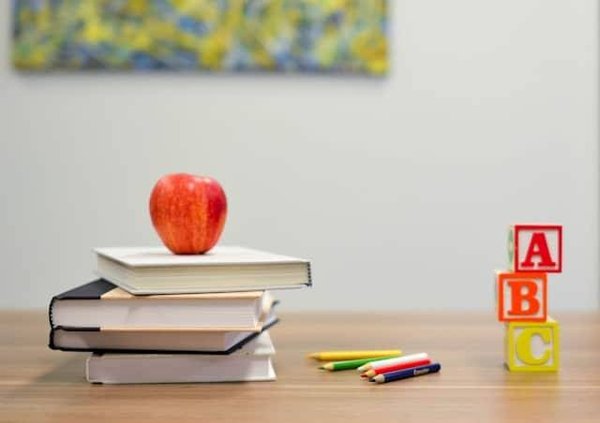 Choisir la meilleure école bilingue : critères et classement détaillé